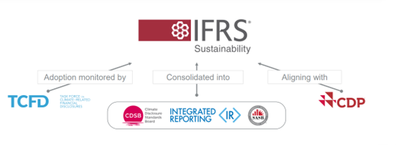 IFRS reporting structure